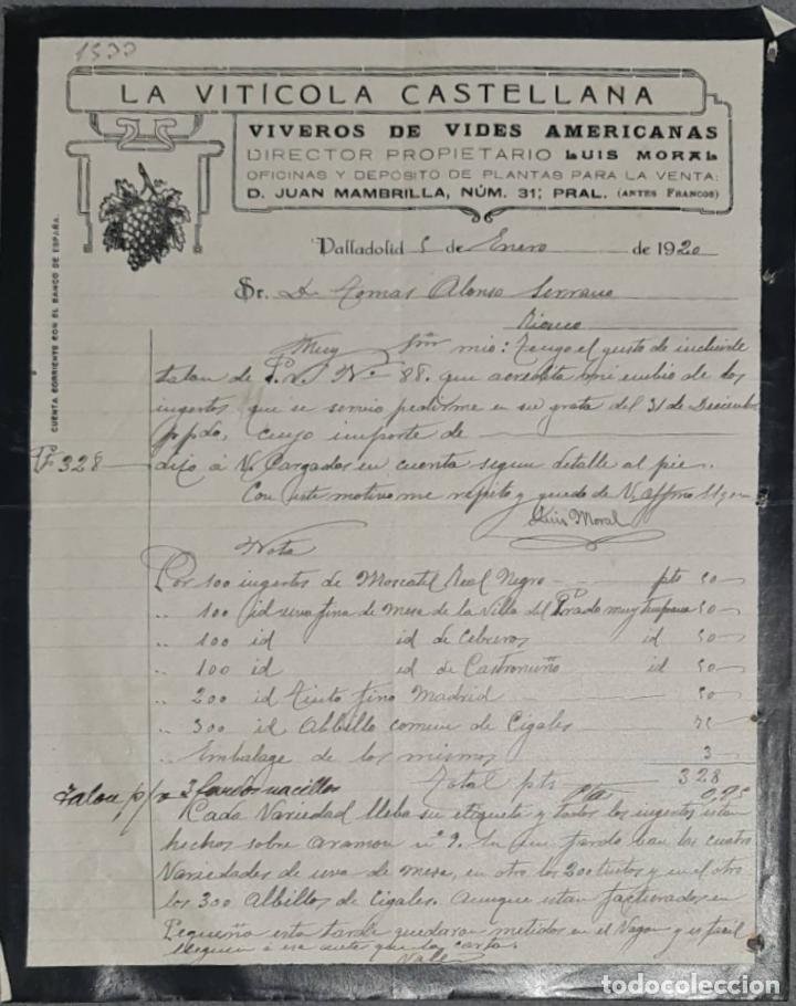 Cartas comerciais: La Vit&iacute;cola Castellana. Viveros de vides Americanas. Valladolid. Espa&ntilde;a 1920