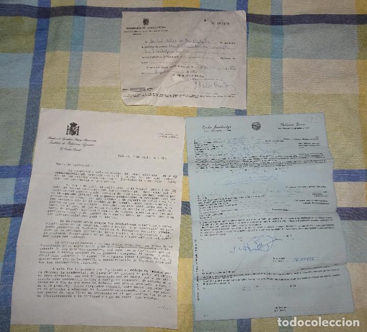 Cartas comerciais: Gobierno vasco departamento agricultura y pesca ministerio de veterinario factura carta a&ntilde;os 80
