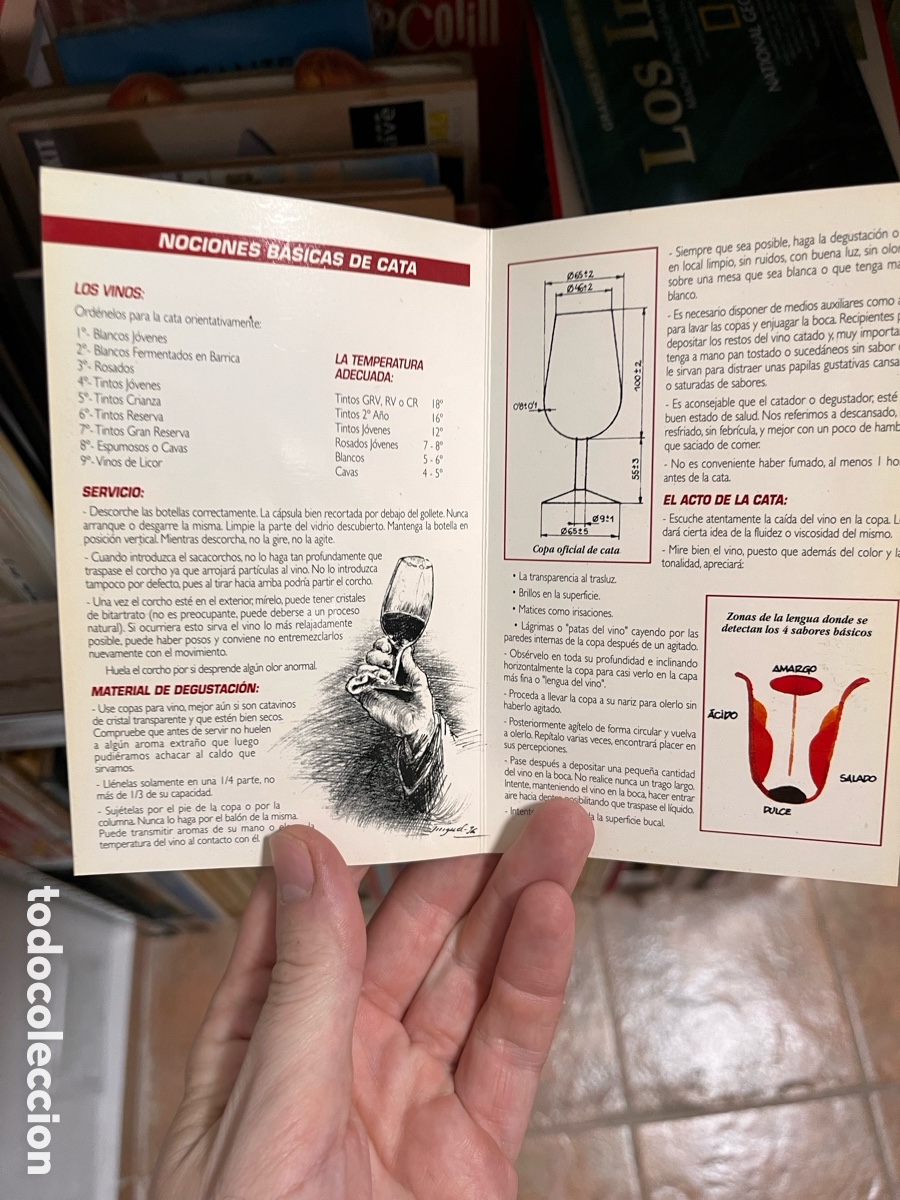 Cartas comerciales: Blas41C d&iacute;ptico Nociones b&aacute;sicas de cata - Foto 2
