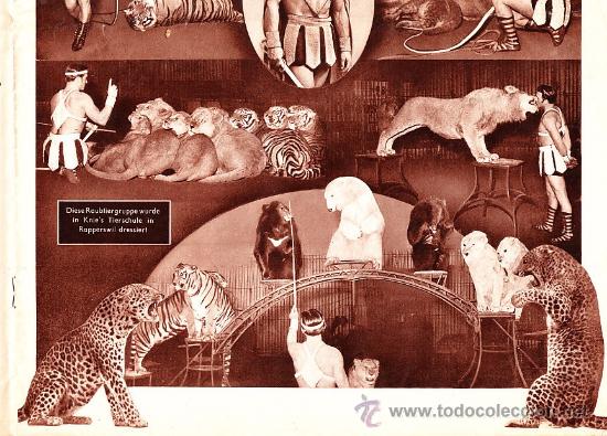 Carteles espect&aacute;culos: PROGRAMA DEL CIRCO KNIE - Foto 3