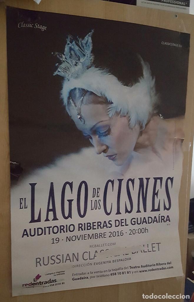 Carteles espect&aacute;culos: Cartel El Lago de los Cisnes. - Foto 1