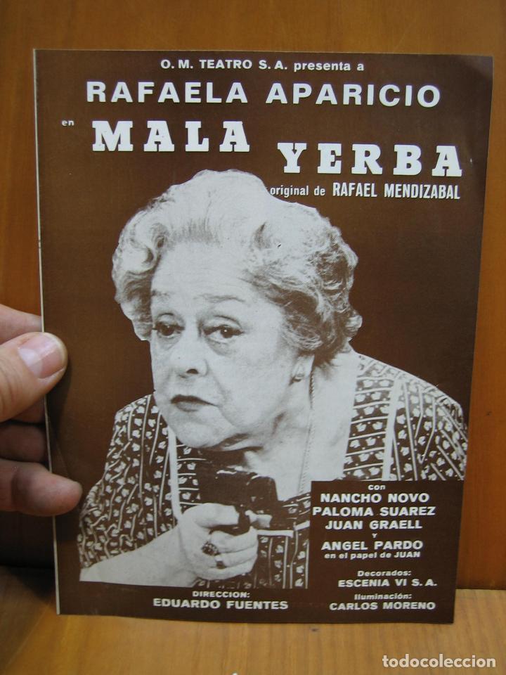 Carteles espect&aacute;culos: Programa de teatro. O.M. Teatro ? Mala Yerba. Rafaela Apar&iacute;cio - Foto 1