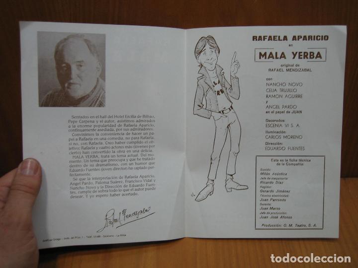 Carteles espect&aacute;culos: Programa de teatro. O.M. Teatro ? Mala Yerba. Rafaela Apar&iacute;cio - Foto 2