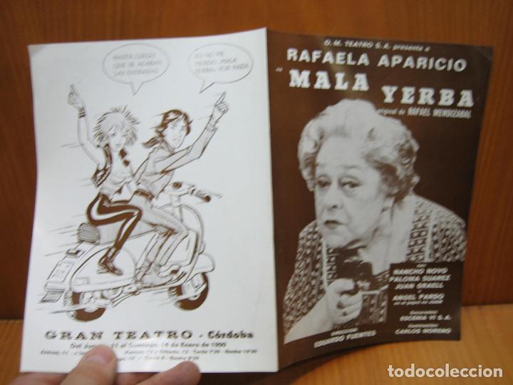 Carteles espect&aacute;culos: Programa de teatro. O.M. Teatro ? Mala Yerba. Rafaela Apar&iacute;cio - Foto 3
