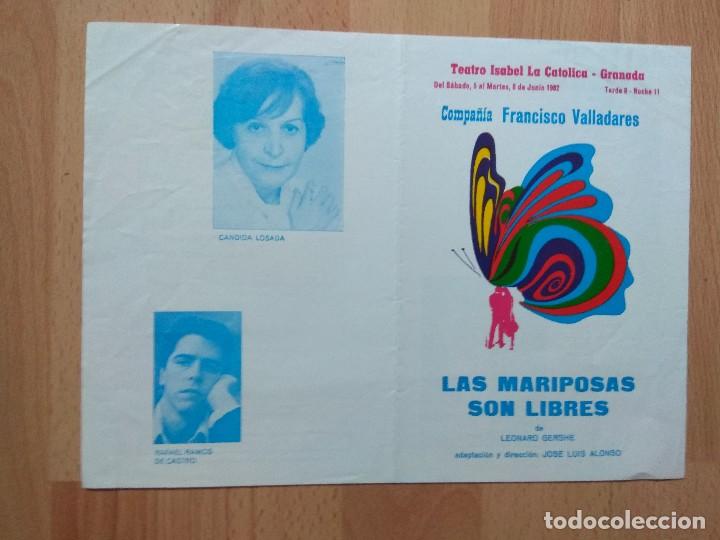 Carteles espect&aacute;culos: PROGRAMA DE TEATRO ISABEL LA CATOLICA --LAS MARIPOSAS SON LIBRES - Foto 1