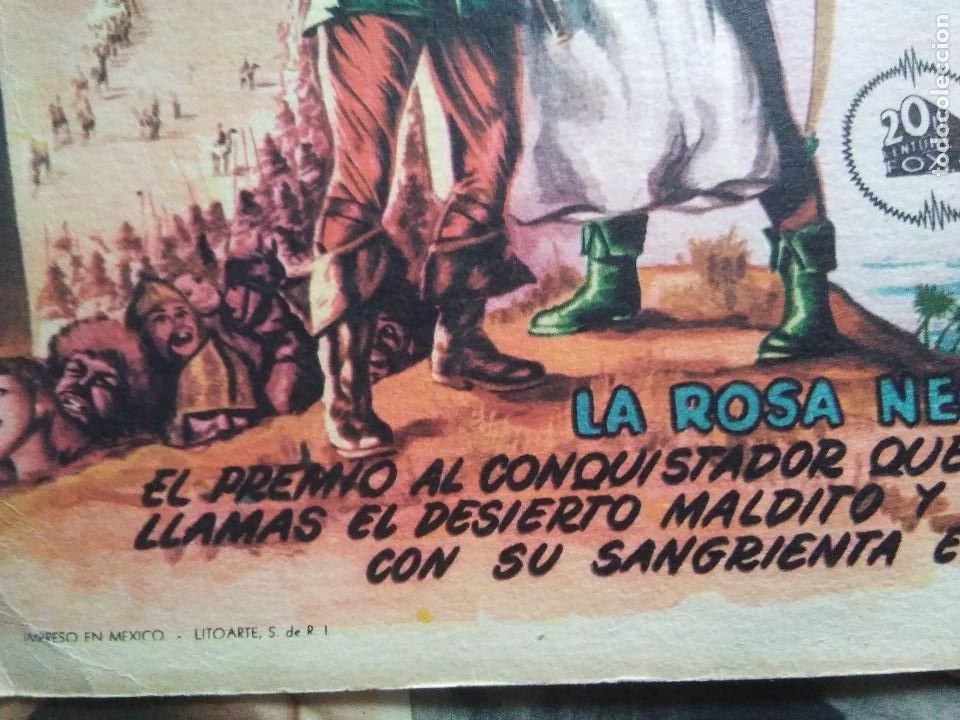 Carteles espect&aacute;culos: CARTEL CINE LA ROSA NEGRA - Foto 3