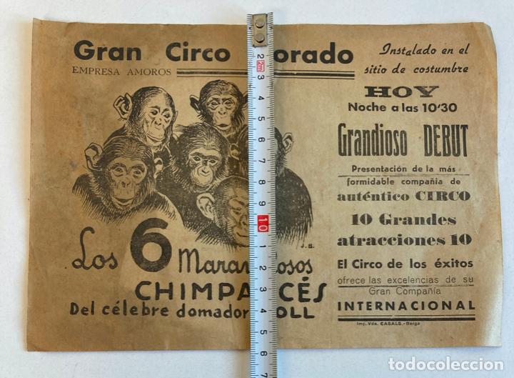 Carteles espect&aacute;culos: PASQUIN, GRAN CIRCO DORADO - Foto 5