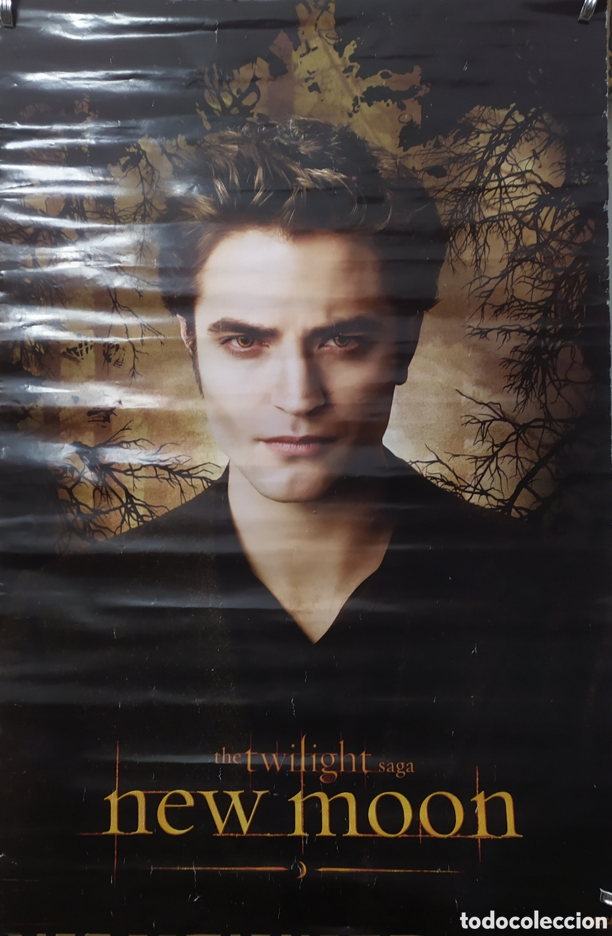 Carteles espect&aacute;culos: Poster de la saga Crep&uacute;sculo - Foto 2
