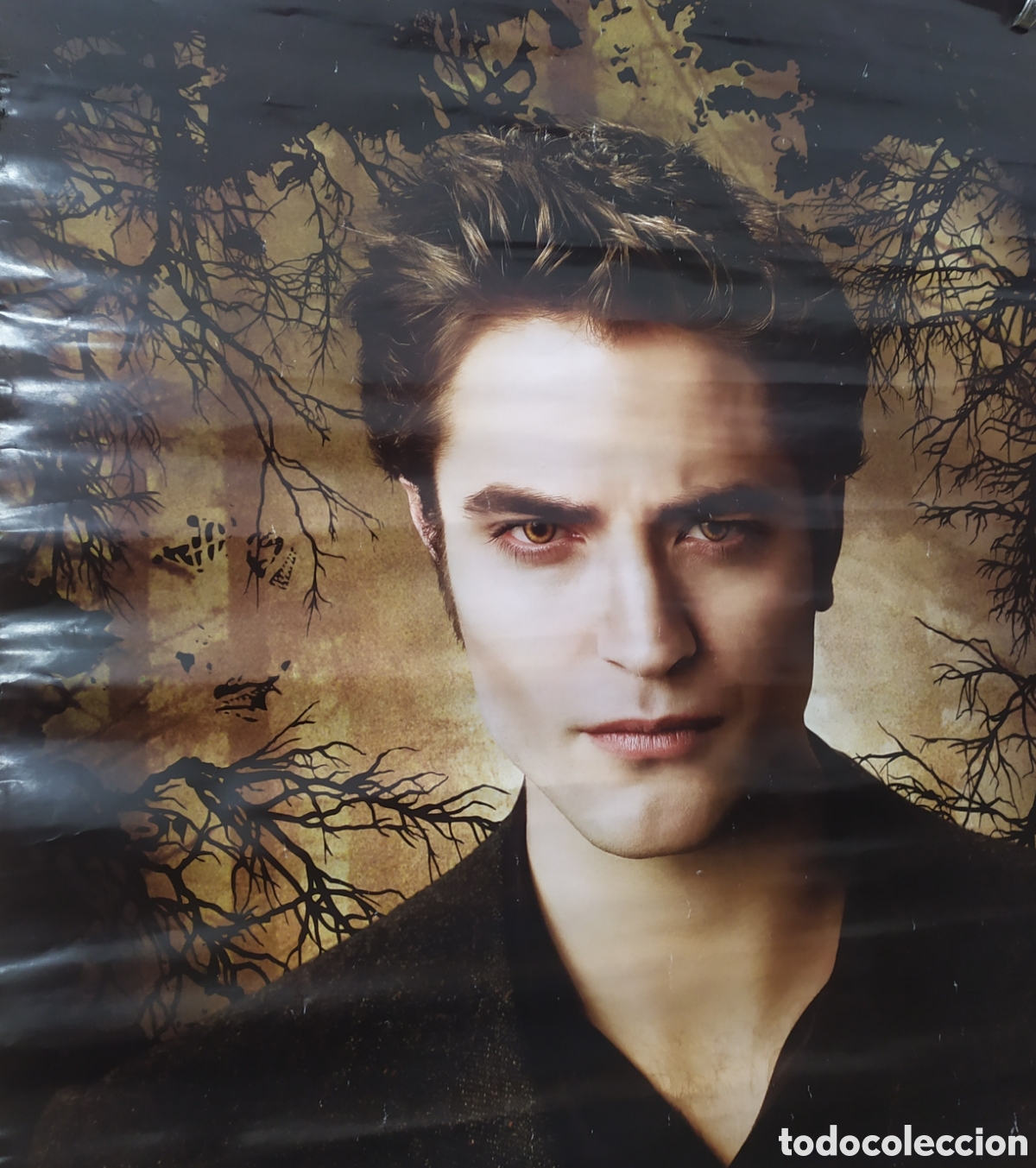 Carteles espect&aacute;culos: Poster de la saga Crep&uacute;sculo - Foto 1