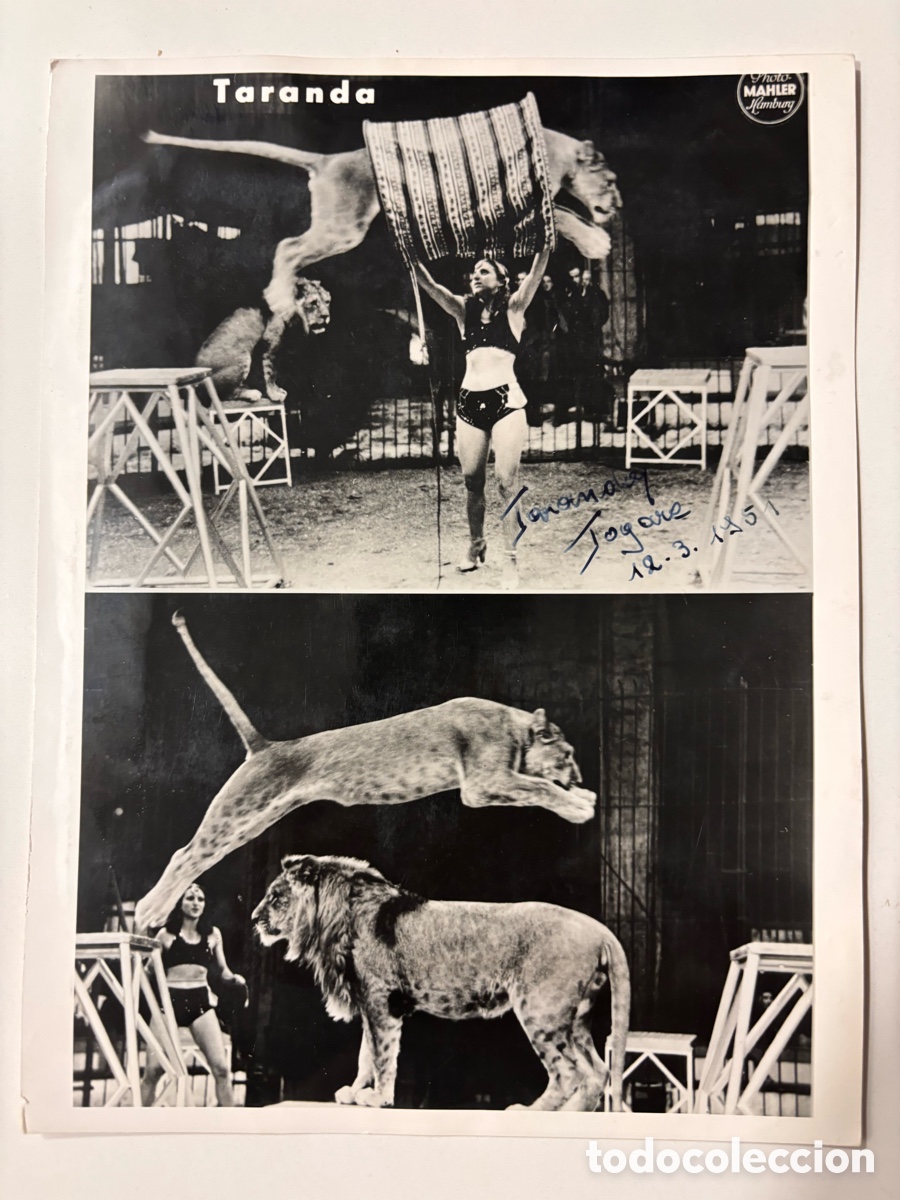 Carteles espect&aacute;culos: Foto original circo con aut&oacute;grafo de la domadora de leones taranda