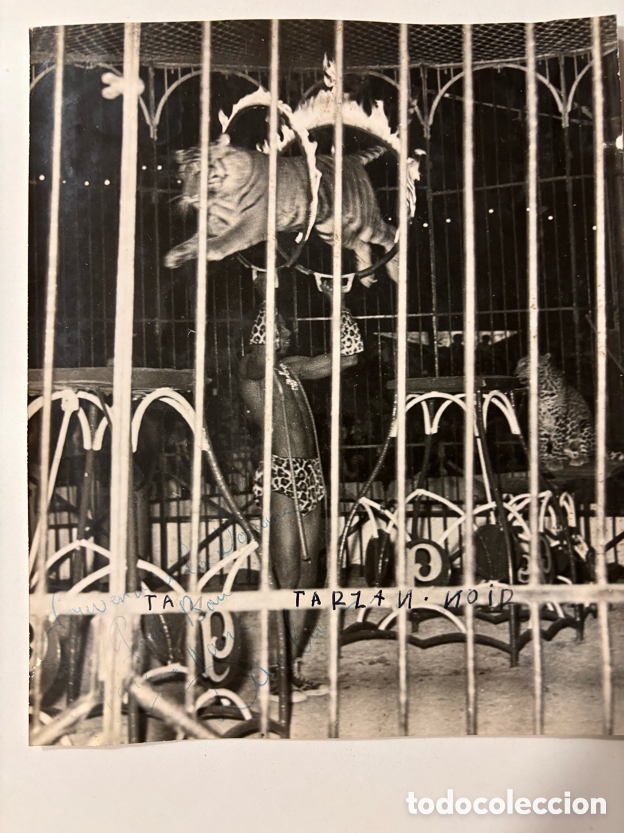 Carteles espect&aacute;culos: Foto original circo con aut&oacute;grafo del domador de leones Dambo