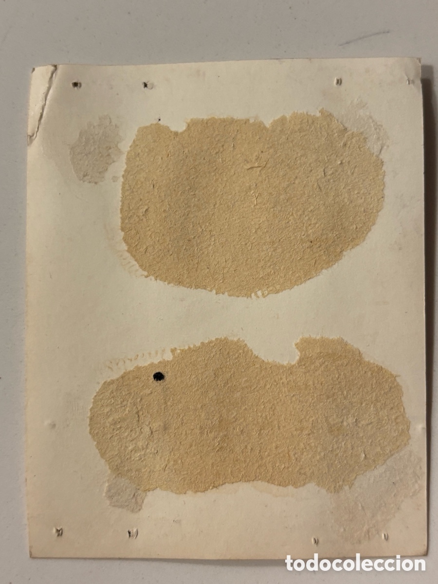 Carteles espect&aacute;culos: Foto original de los acr&oacute;batas de circo los Bedini Mickey Mouse Goofy - Foto 2