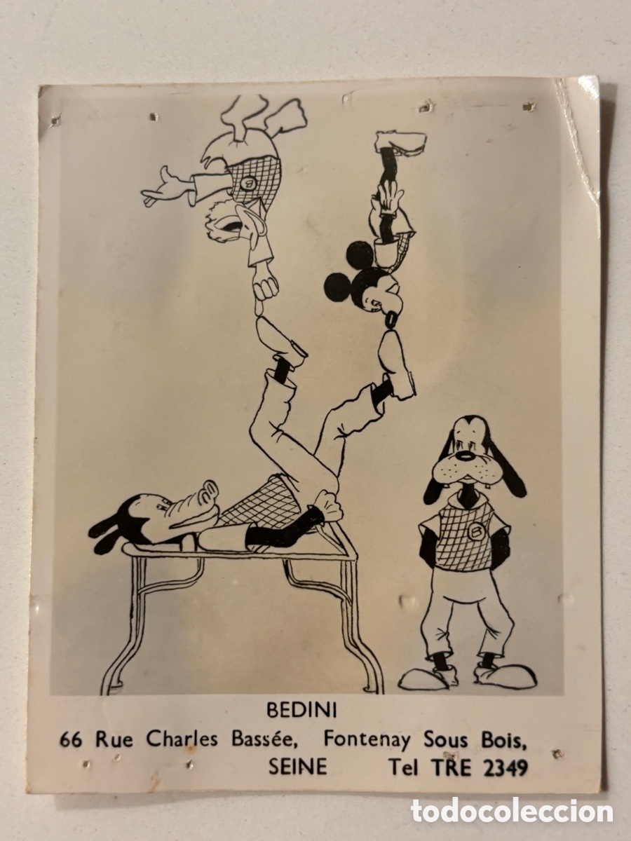 Carteles espect&aacute;culos: Foto original de los acr&oacute;batas de circo los Bedini Mickey Mouse Goofy - Foto 1