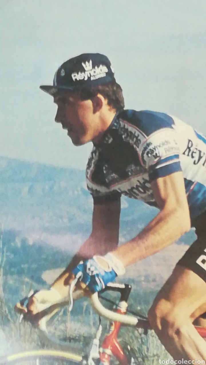 Coleccionismo deportivo: P&oacute;ster Perico Delgado - Foto 2