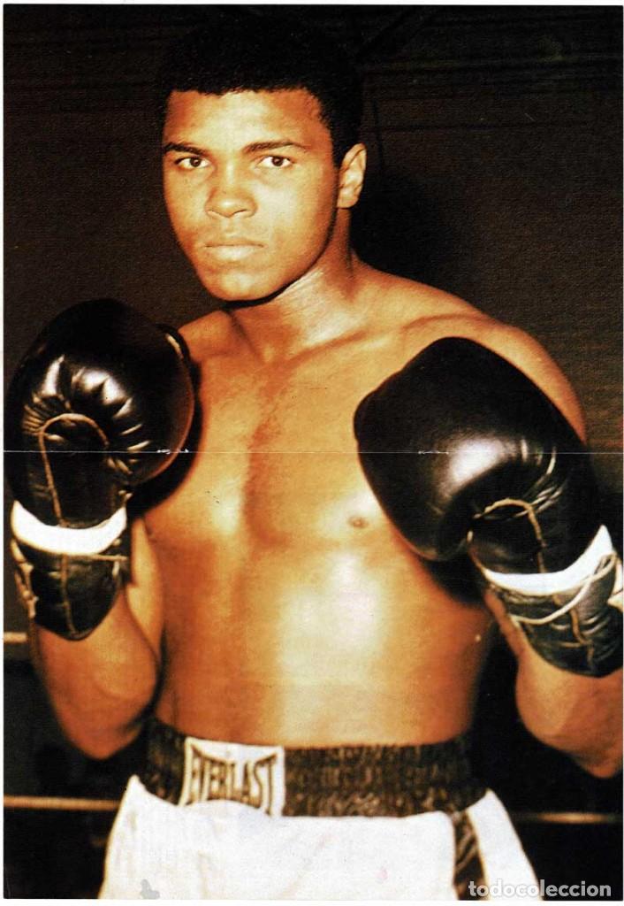 Coleccionismo deportivo: Poster Cassius Clay - Foto 1