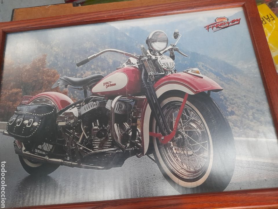 Coleccionismo deportivo: Poster enmarcado, Harley Davidson, - Foto 1