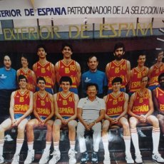 Coleccionismo deportivo: POSTER SELECCIÓN ESPAÑA BALONCESTO AÑO 85