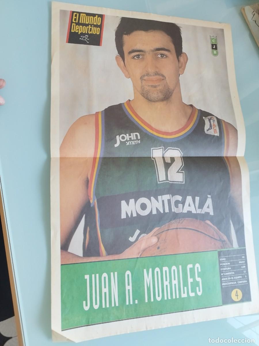 Coleccionismo deportivo: Poster del jugador de baloncesto Juan A. morales. Montigal&agrave; del Club Joventut Badalona (la Penya).