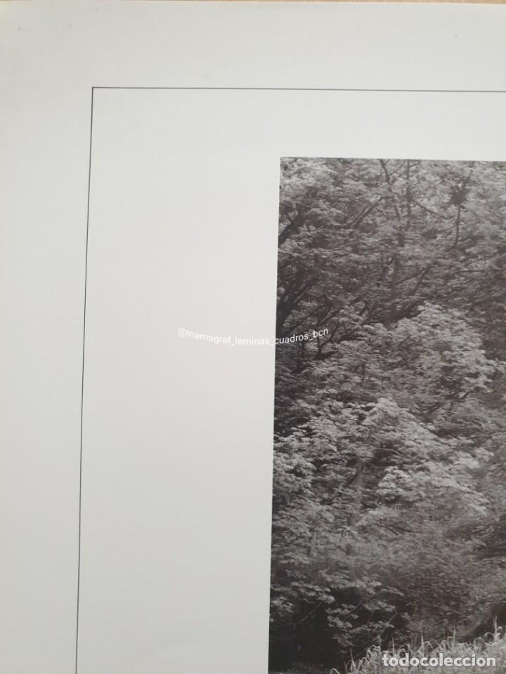 Carteles feria: JOHN BLAKEMORE. LATHKILL DALE. MAMAGRAF - Foto 3