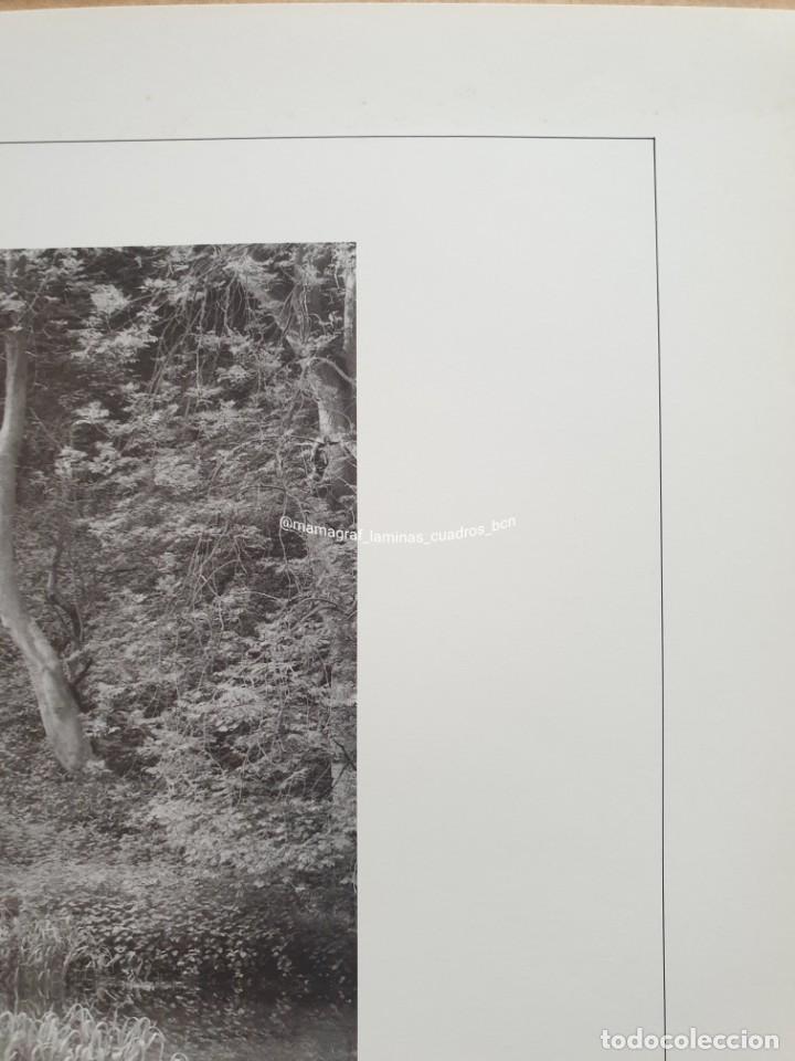 Carteles feria: JOHN BLAKEMORE. LATHKILL DALE. MAMAGRAF - Foto 4