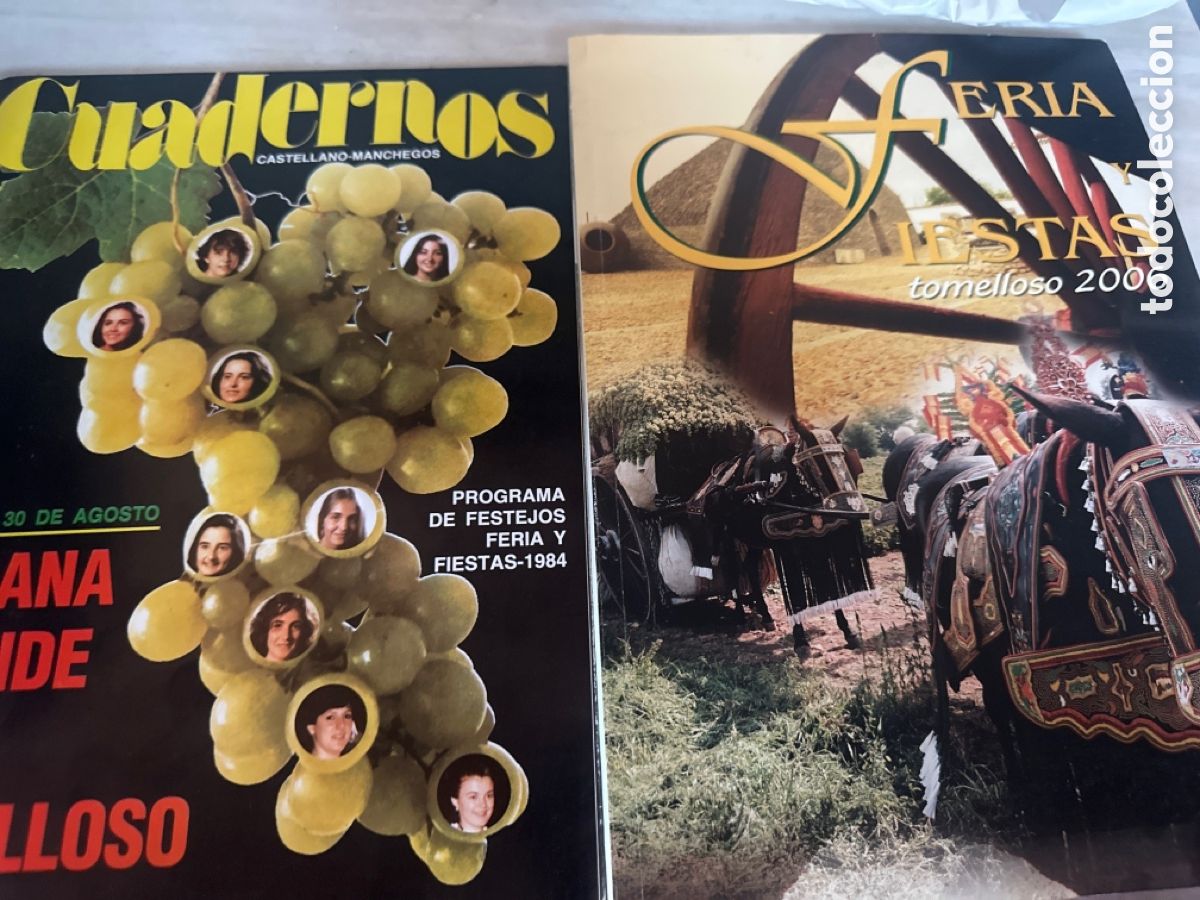 Carteles feria: Lote de libros y programas de ferias y fiestas - Foto 17