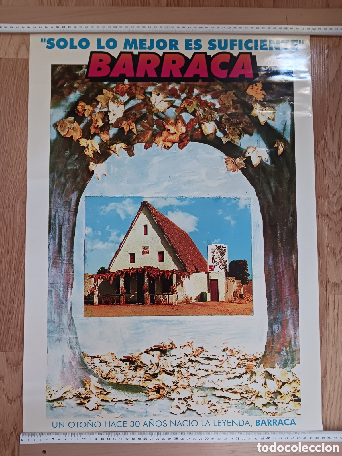 Carteles feria: P&oacute;ster discoteca Barraca - Foto 1