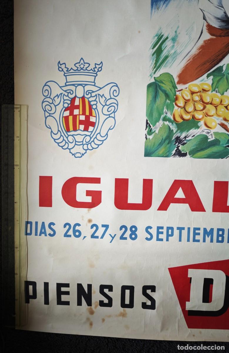 Carteles feria: IGUALADA - FERIA DEL CAMPO 1958 - Foto 3