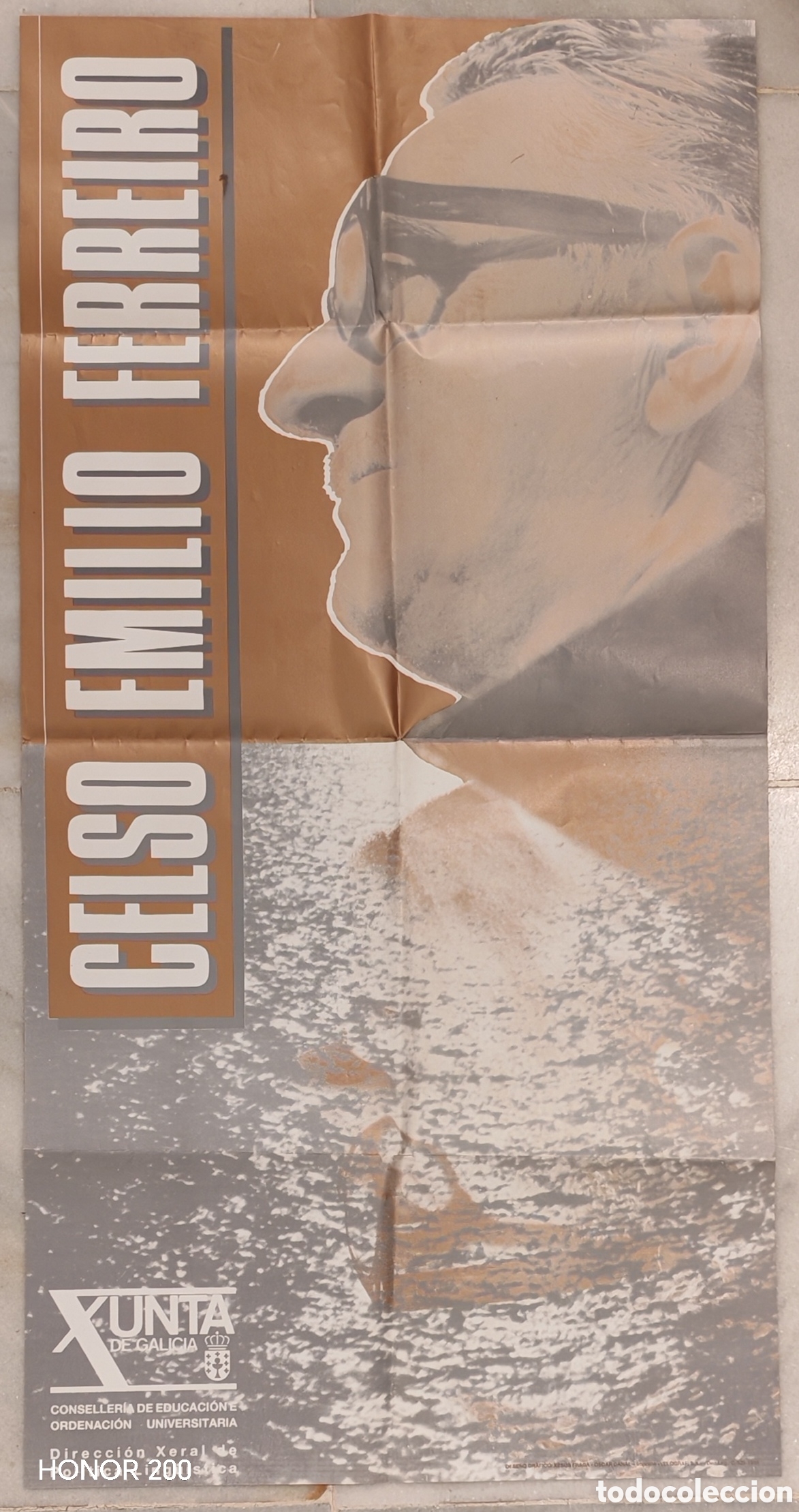 Carteles feria: Cartel - D&iacute;a das Letras Galegas 1989. Celso Emilio Ferreiro -