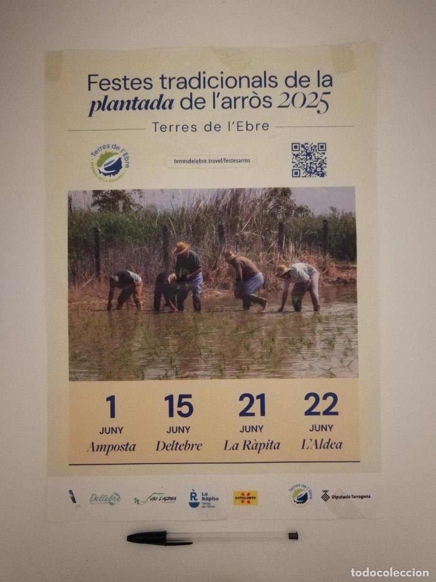Carteles feria: CARTEL ORIGINAL -A3- FIESTAS TRADICIONALES PLANTADA DE ARROZ - AMPOSTA - Terres de l'Ebre