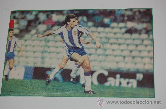 Coleccionismo deportivo: RCD. ESPA&Ntilde;OL : Recorte de LOSADA. 1987 - Foto 1