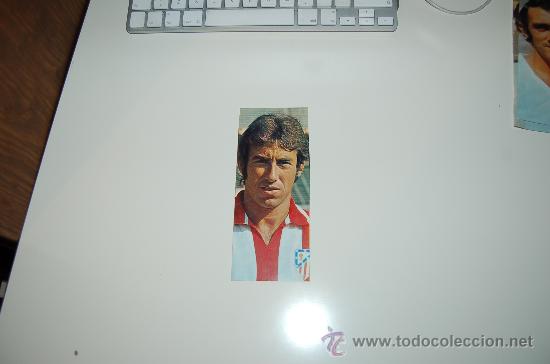 Coleccionismo deportivo: ATL&Eacute;TICO DE MADRID: Recorte de ADELARDO. 1972