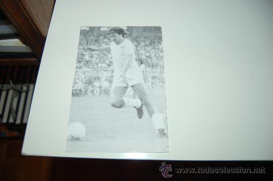 Coleccionismo deportivo: SEVILLA CF: Recorte de BERTONI - Foto 1