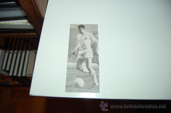 Coleccionismo deportivo: VALENCIA CF: Recorte de PAQUITO - Foto 1