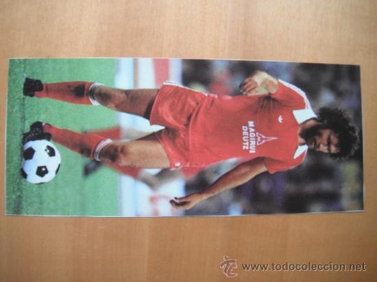 Coleccionismo deportivo: RECORTE REVISTA ONZE. BREITNER. BAYERN MUNICH. A&Ntilde;OS 70' .