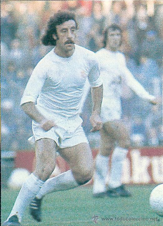 Collezionismo sportivo: REAL MADRID: Recorte de VICENTE DEL BOSQUE