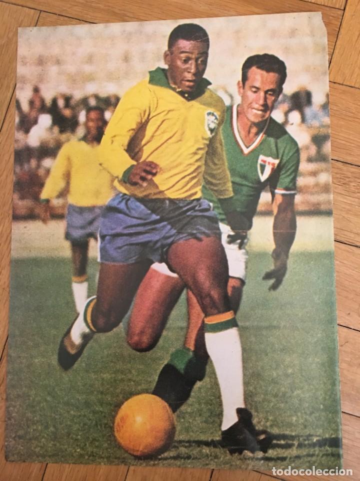 Collectionnisme sportif: CARTEL POSTER CON INFORMACION DEL JUGADOR PELE BRASIL