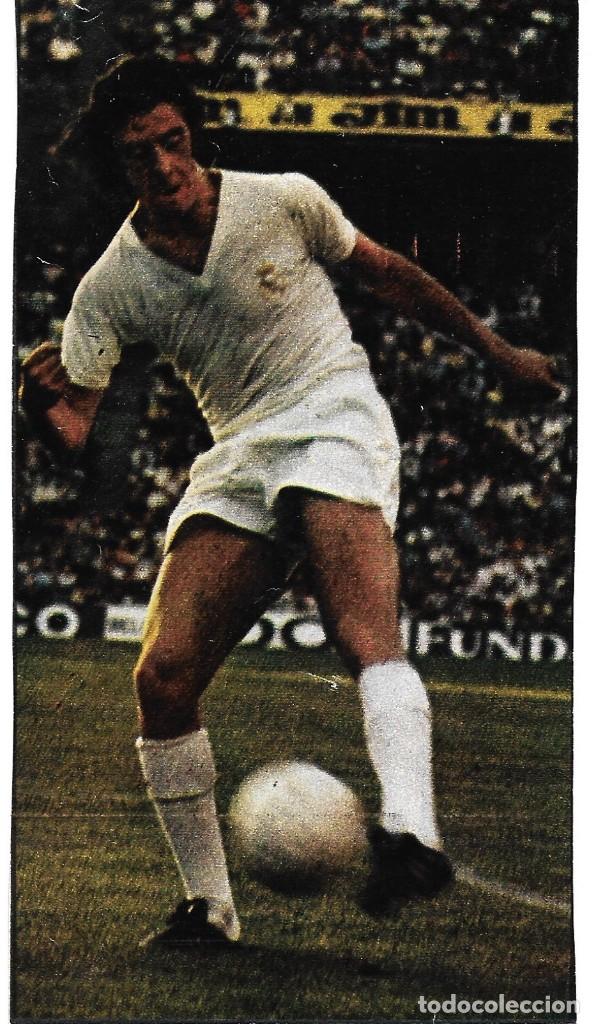 Collezionismo sportivo: REAL MADRID: Recorte de DEL BOSQUE