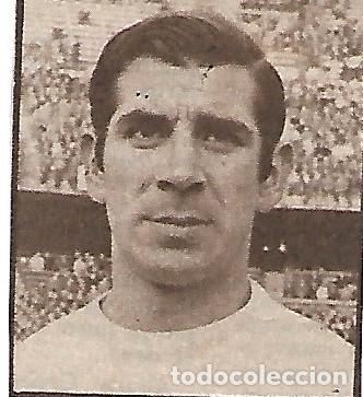 Coleccionismo deportivo: VALENCIA CF: Recorte de ANSOLA - Foto 1