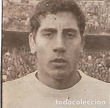 Coleccionismo deportivo: VALENCIA CF: Recorte de CLARAMUNT - Foto 1