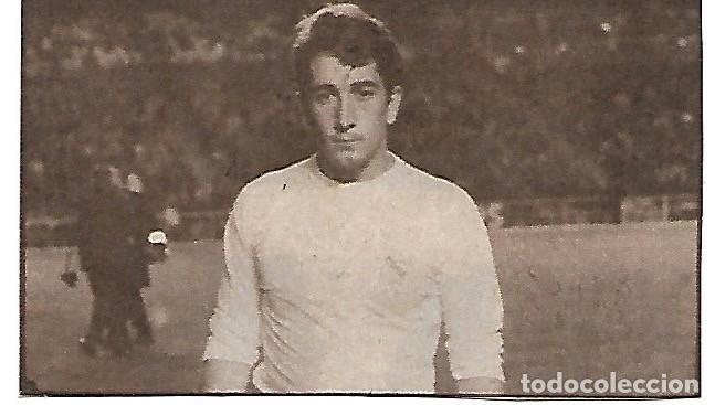 Collectionnisme sportif: REAL MADRID. Recorte de VEL&Aacute;ZQUEZ