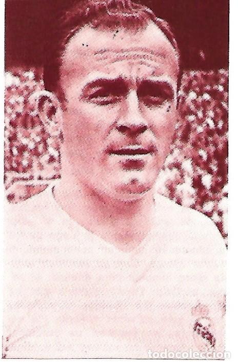 Collectionnisme sportif: REAL MADRID: Recorte de DI STEFANO