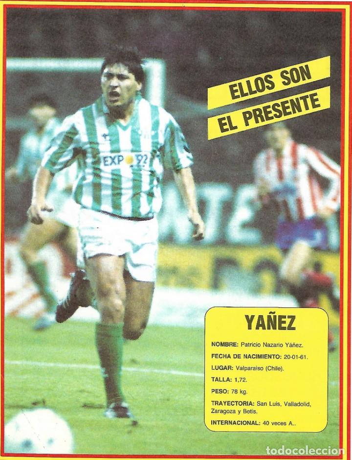REAL BETIS BALOMPIÉ: Lámina de YÁÑEZ. 1989