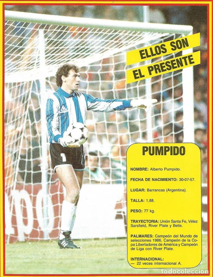 Coleccionismo deportivo: REAL BETIS BALOMPI&Eacute;. L&aacute;mina de Neri PUMPIDO. 1989