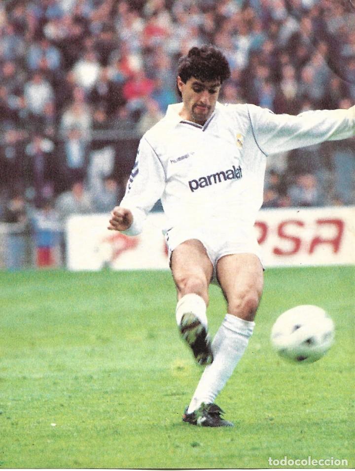 Coleccionismo deportivo: REAL MADRID: Minip&oacute;ster de MICHEL - Foto 1