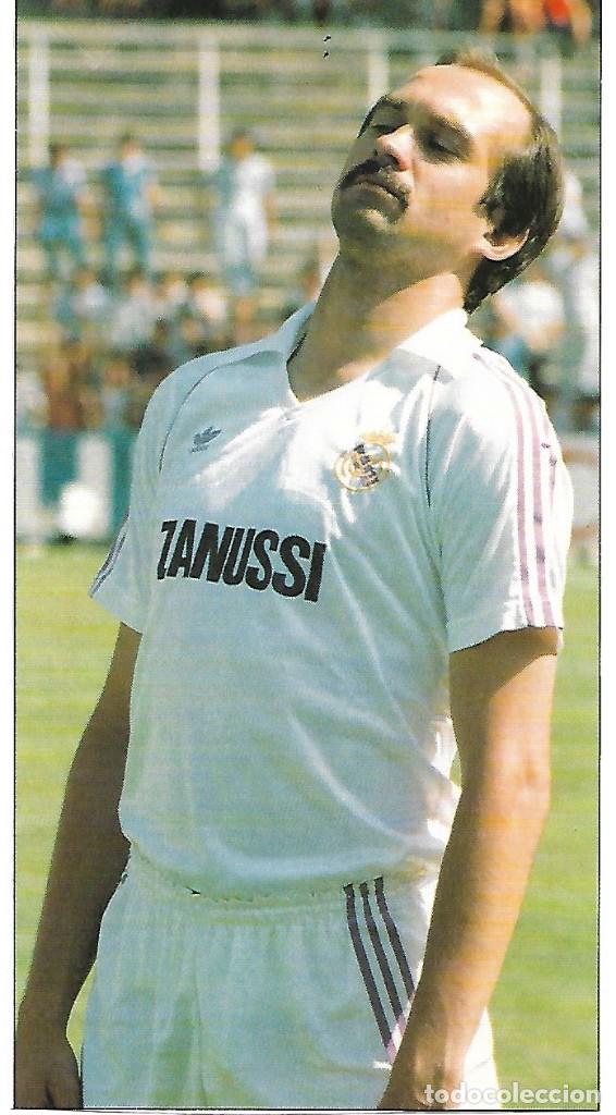 Collezionismo sportivo: REAL MADRID: Recorte de Uli STIELIKE