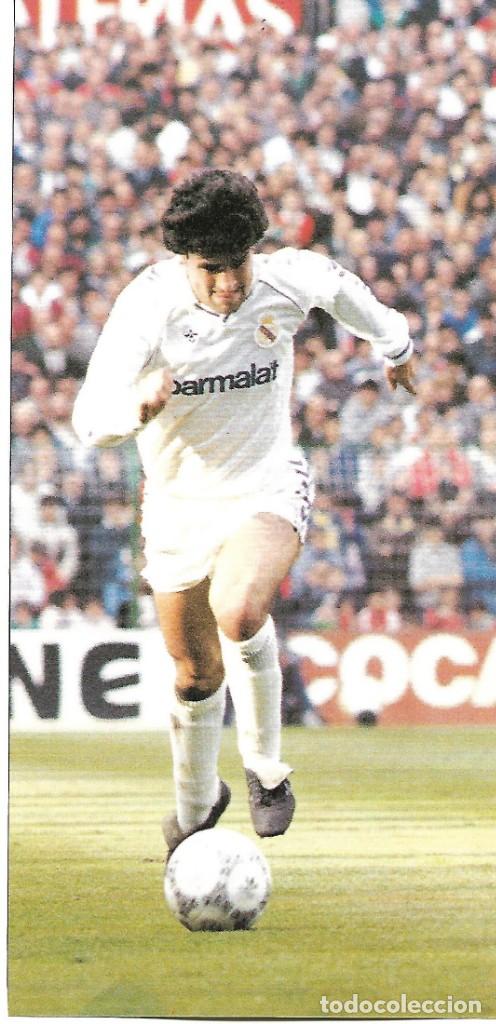 Collectionnisme sportif: REAL MADRID: Gran recorte de MICHEL. 1989
