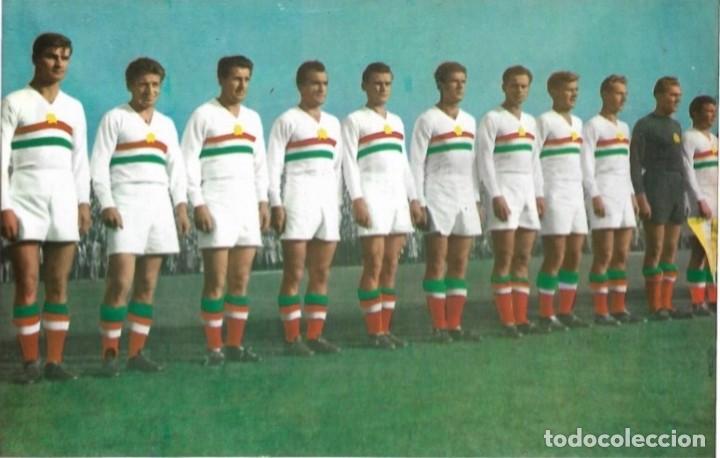 Collectionnisme sportif: HUNGR&Iacute;A: Gran recorte del conjunto m&iacute;tico de los primeros a&ntilde;os 50