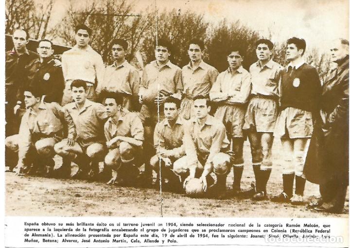 Collectionnisme sportif: SELECCI&Oacute;N ESPA&Ntilde;OLA DE F&Uacute;TBOL JUVENIL: Recorte del equipo Campe&oacute;n en 1954