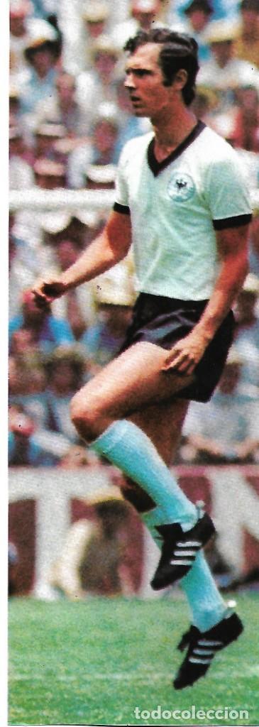 Collectionnisme sportif: SELECCI&Oacute;N DE F&Uacute;TBOL DE ALEMANIA ( RFA ): Gran recorte de Frantz BECKENBAUER