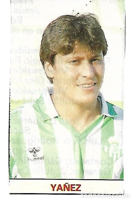 Collectionnisme sportif: REAL BETIS BALOMPI&Eacute;: Recorte de Pato Y&Aacute;&Ntilde;EZ. 1987